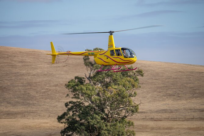 Western Ridge & Valley Floor: 20-Minute Helicopter Flight - Safety Briefing and Headsets That Make the Flight Feel Personal