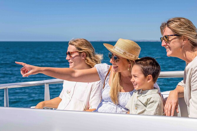 Whale Watching by Sea World Cruises - Price value, how to time it, and who it suits best