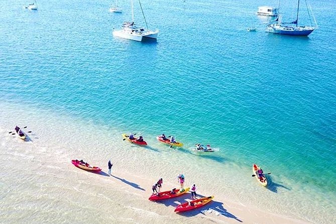 Whale Watching by Sea World Cruises - Booking essentials that affect your day (without making it complicated)