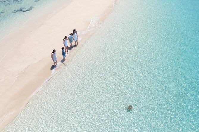 Whitehaven Beach and Hill Inlet Lookout Snorkeling Cruise - Who Should Book This Cruise (and Who Might Rethink It)