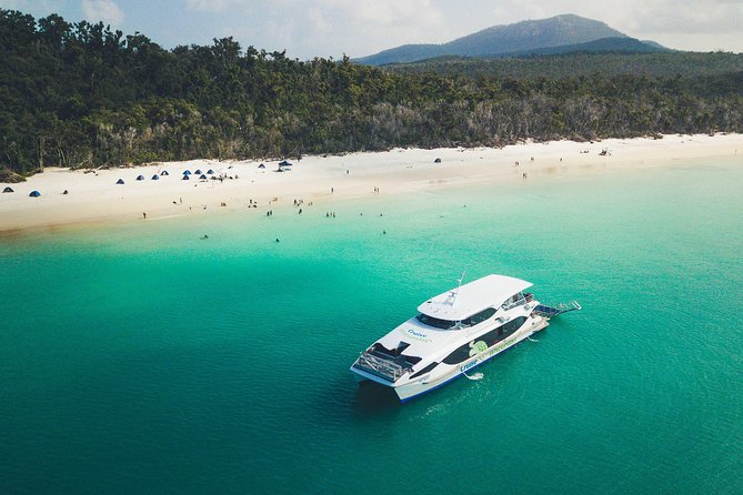 Whitehaven Beach Morning or Afternoon Tour - Price and value: $88.94, and what it pays for