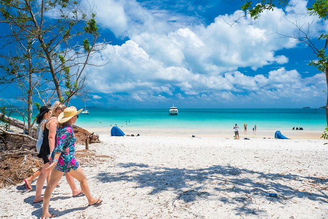 Whitehaven Beach Morning or Afternoon Tour - Hill Inlet is the missing piece, and here’s how to decide