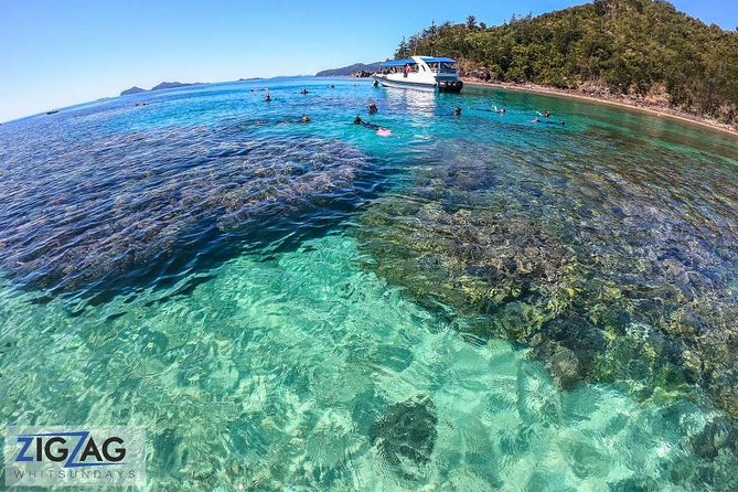 Whitehaven Beach Tour: 2 Options - All Day Beach Or Snorkel - The South Whitehaven Lookout hike: worth the 45 minutes