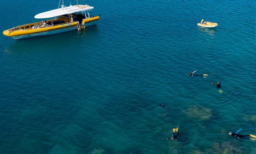 Whitsunday: Whitsunday Islands Tour with Snorkeling & Lunch - Final Call: Should You Book This Whitsundays Tour?