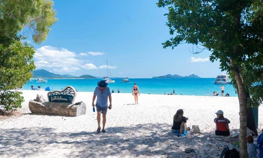 Whitsunday: Whitsunday Islands Tour with Snorkeling & Lunch - Whale Season Chances: July to September Planning That Works