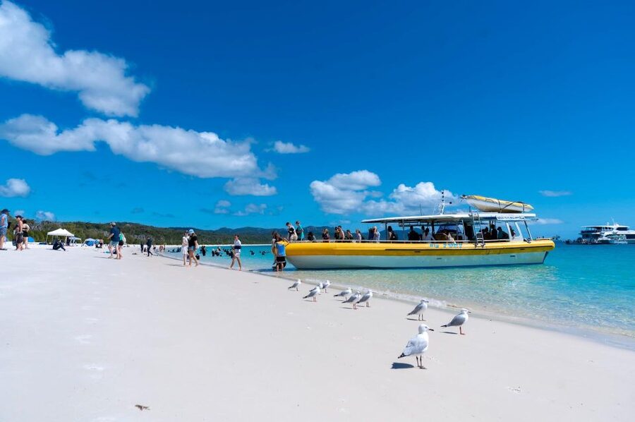 Whitsunday: Whitsunday Islands Tour with Snorkeling & Lunch - Little Logistics That Matter: Transfers, Weather, and What to Bring