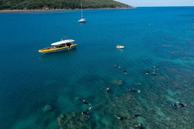 Whitsundays Day Cruise: Whitehaven Beach & Hill Inlet - Key highlights worth your attention