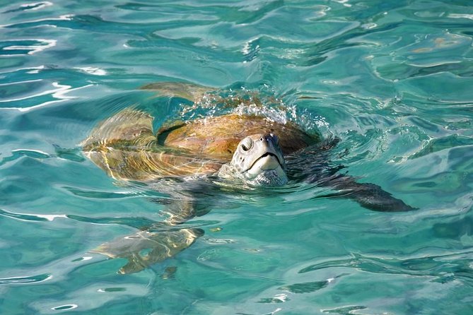 Whitsundays Guided Jet Ski Tour - What the stops mean: from check-in to Marine Park riding