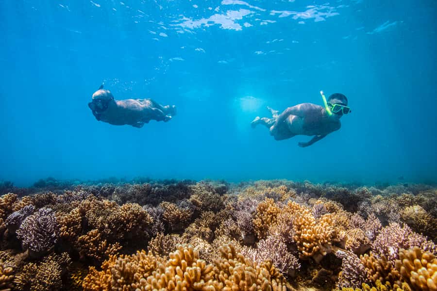 Whitsundays Sailing & Snorkelling Day Tour – All Inclusive - Who this Whitsundays sailing day suits best
