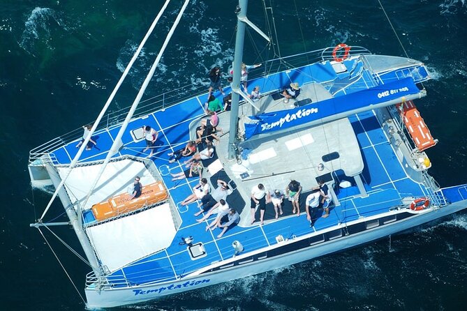 Wild Dolphin Watch in Glenelg - Weather and cancellation, the reality check for ocean wildlife