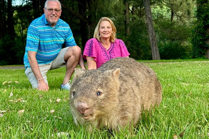 WILD Wombat and Kangaroo Day Tour, All Inclusive - Is $178.59 a fair deal for this Sydney wildlife day?