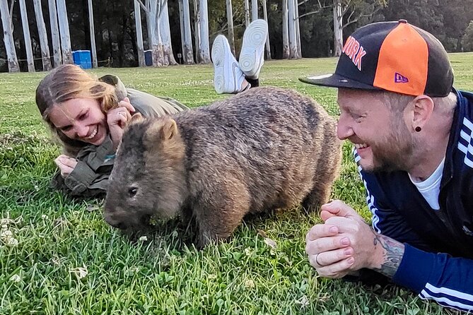WILD Wombat and Kangaroo Day Tour, All Inclusive - Small group rhythm: what 10.5 hours feels like in practice