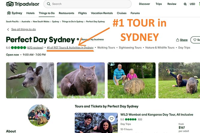 WILD Wombat and Kangaroo Day Tour, All Inclusive - Sublime Point Lookout: big cliff views with minimal effort