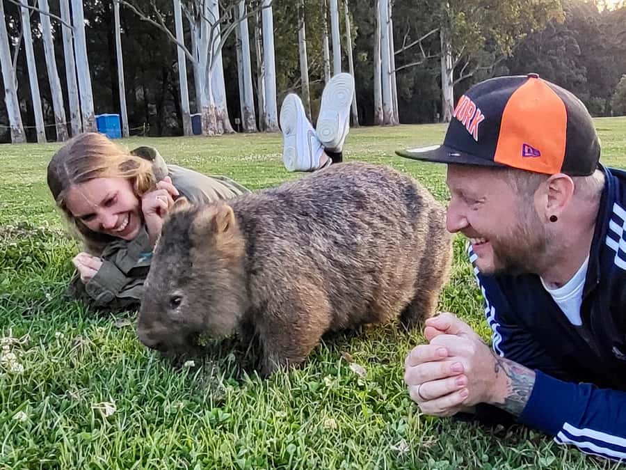 WILD Wombats and Kangaroo Experience, All Inclusive, Sydney - Key highlights I’d circle first
