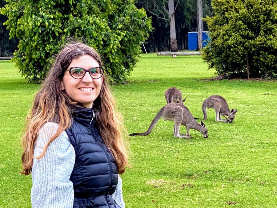 WILD Wombats and Kangaroo Experience, All Inclusive, Sydney - The 1,400-foot cliff viewpoint: the sky and sea mood-setter
