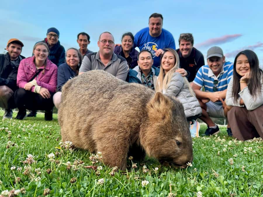 WILD Wombats and Kangaroo Experience, All Inclusive, Sydney - Pie shop lunch: the Aussie fuel that actually works on a full day