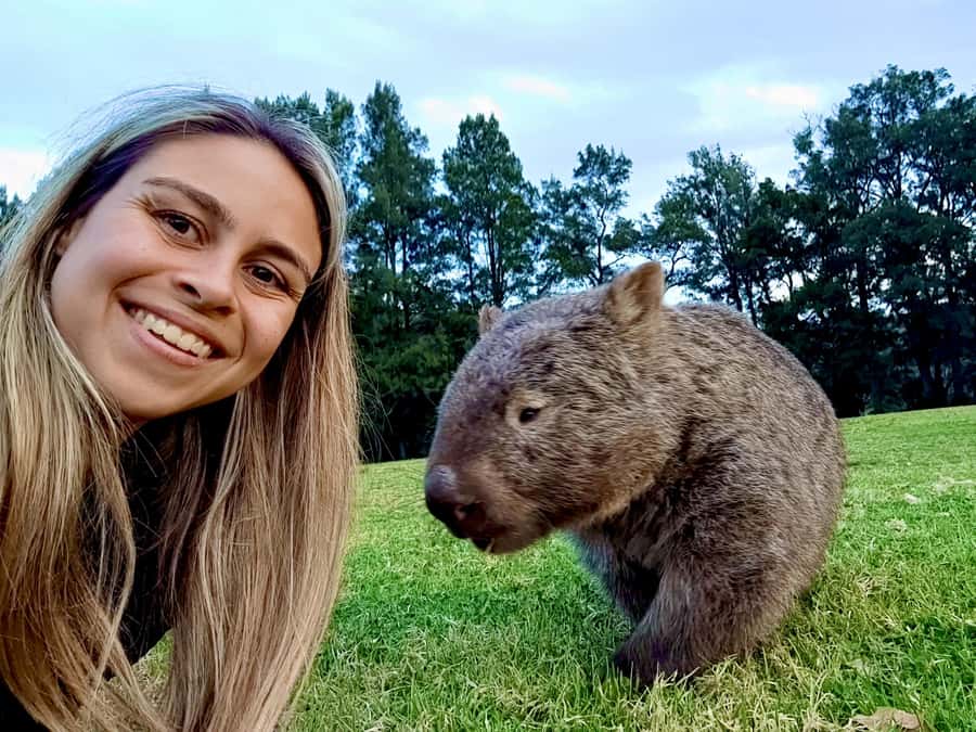 WILD Wombats and Kangaroo Experience, All Inclusive, Sydney - Morton National Park and the day’s second nature walk break