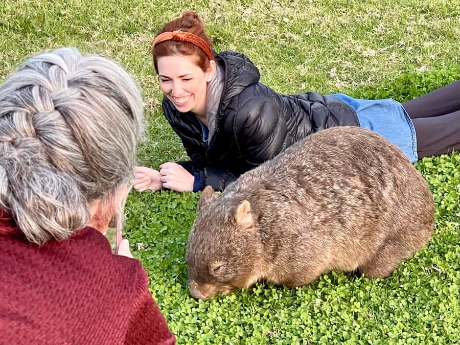 WILD Wombats and Kangaroo Experience, All Inclusive, Sydney - The up-close wildlife encounter: no fences, just careful proximity