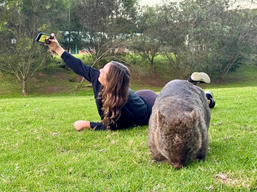WILD Wombats and Kangaroo Experience, All Inclusive, Sydney - Getting from central Sydney to the bush, without stress