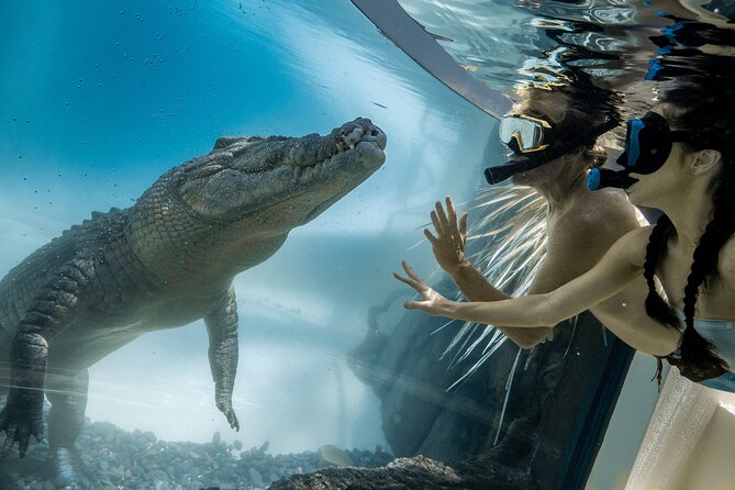 Wildlife Habitat Port Douglas - Wildlife Habitat Port Douglas: what this place is really good at