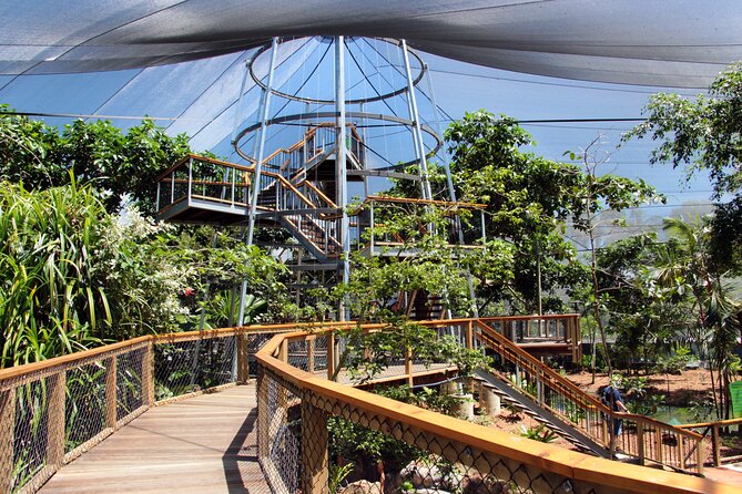 Wildlife Habitat Port Douglas - Rainforest highlights: cassowary time and spotting wildlife the easy way