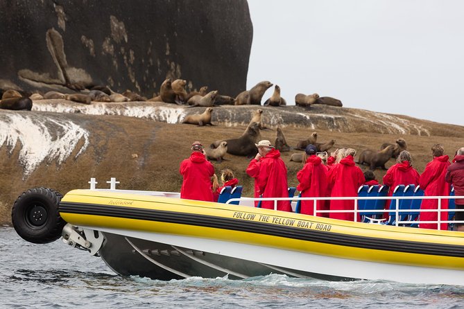Wilsons Promontory Wilderness Cruise from Tidal River - Who this cruise suits best