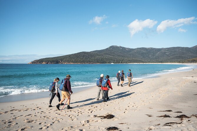 Wineglass Bay Cruise from Coles Bay - Wineglass Bay Time: Where You Stop and Why It Matters