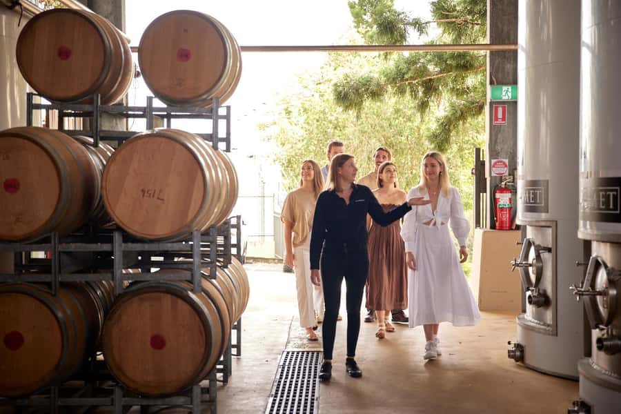 Winery Tour and Tasting - Arriving at Sirromet: the views that set the tone