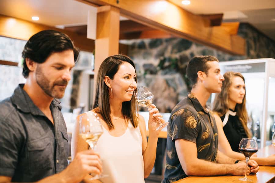 Winery Tour and Tasting - The guided 45 minutes: history, region, and what it means for flavor