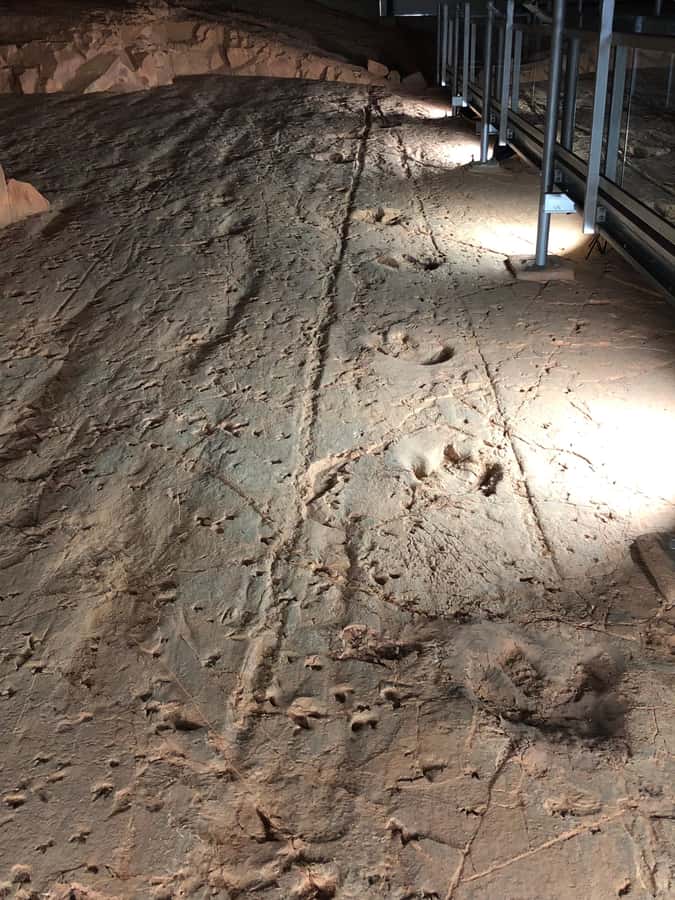 Winton: Dinosaur Stampede 3/4 Day Tour - Working Station Stops, Merton Gorge, and Lookouts With Context