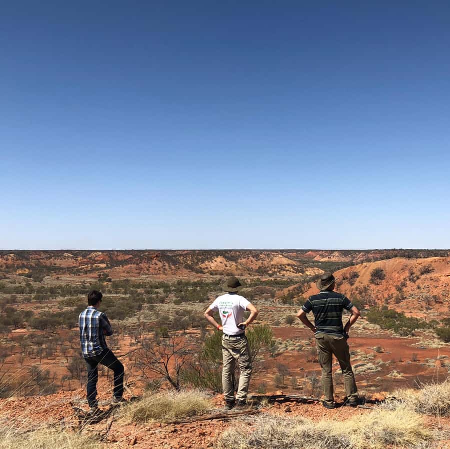 Winton: Dinosaur Stampede 3/4 Day Tour - Lark Quarry: How the Guided Footprint Tour Works