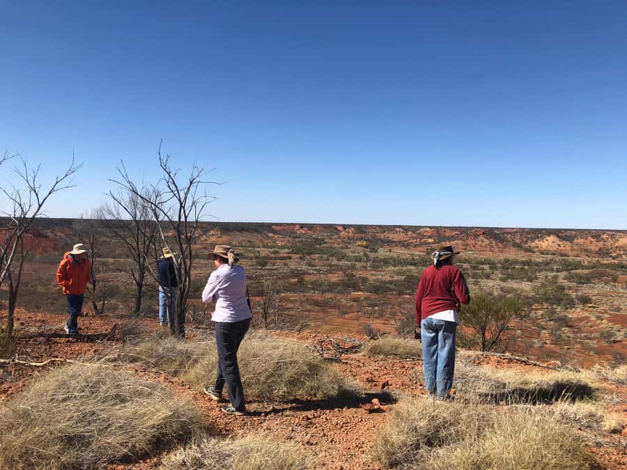 Winton: Dinosaur Stampede 3/4 Day Tour - Price and Value: Is $134 Worth It for a 7-Hour Outback Day?