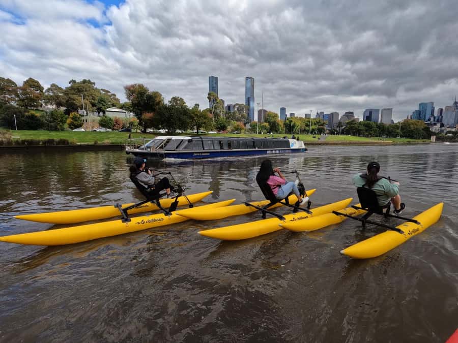 Yarra River, Melbourne Waterbike Tour - Price and value: $70 for 90 minutes of water-level Melbourne