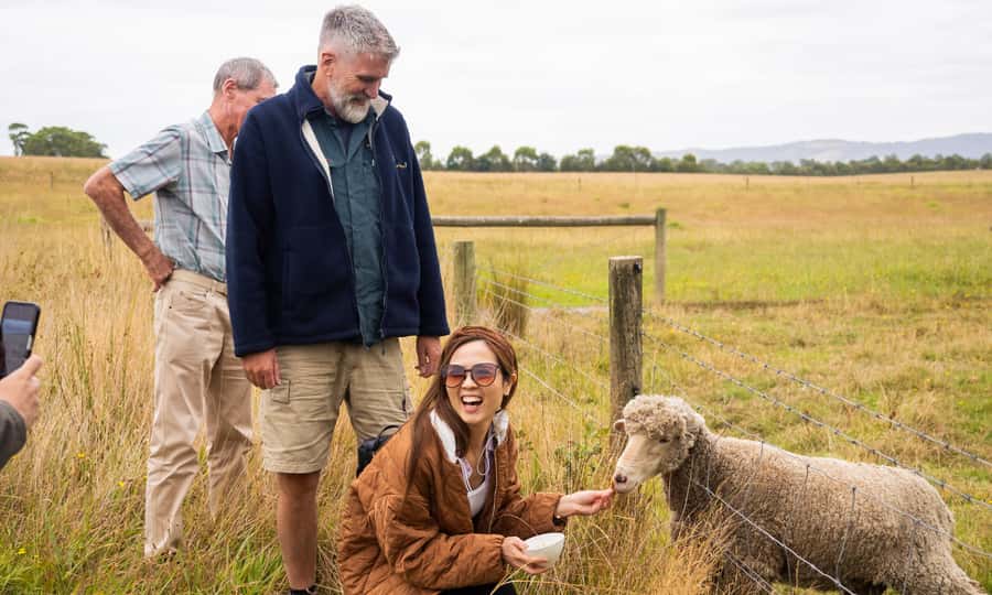 Yarra Valley Full Day Grazing Tour: Gin, Wine, Pizza, Cheese - Yarra Valley Chocolaterie: Guided Eight-Variety Chocolate Tasting