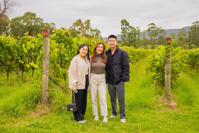 Yarra Valley Grazing Tour Wine, Cheese, Gin, Pizza from Melbourne - Price and value: is $135.56 per person fair?