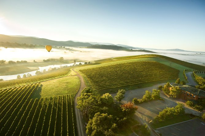 Yarra Valley Wine Day Tour - Getting out of Melbourne fast: the 8:30am start and pickup setup