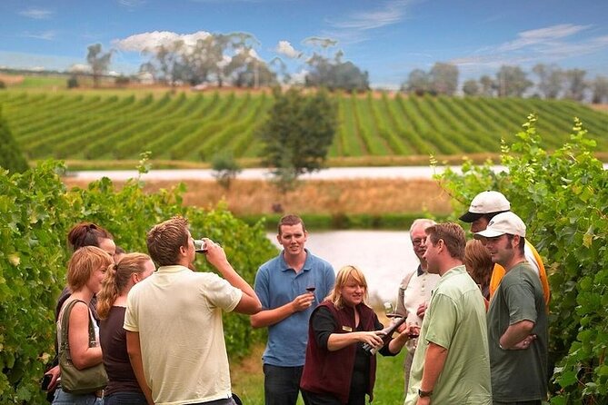 Yarra Valley Wine & Winery Tour from Melbourne - All Inclusive! - Key Points Before You Go