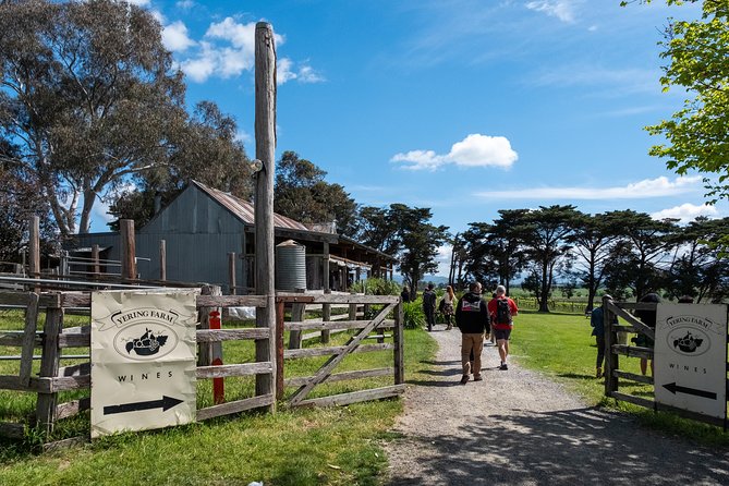 Yarra Valley Wine & Winery Tour from Melbourne - All Inclusive! - Melbourne to Yarra Valley: The Drive That Sets the Tone