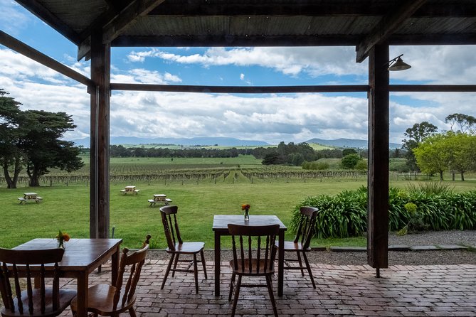 Yarra Valley Wine & Winery Tour from Melbourne - All Inclusive! - Stop 3: The Cellar Door at Balgownie Estate (and Why the Timing Works)