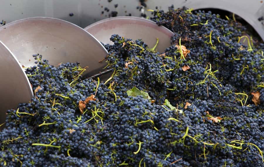 Yarra Valley: Winery Tour with Lunch at Yering Station - The drive through Templestowe, Eltham, and Kangaroo Ground