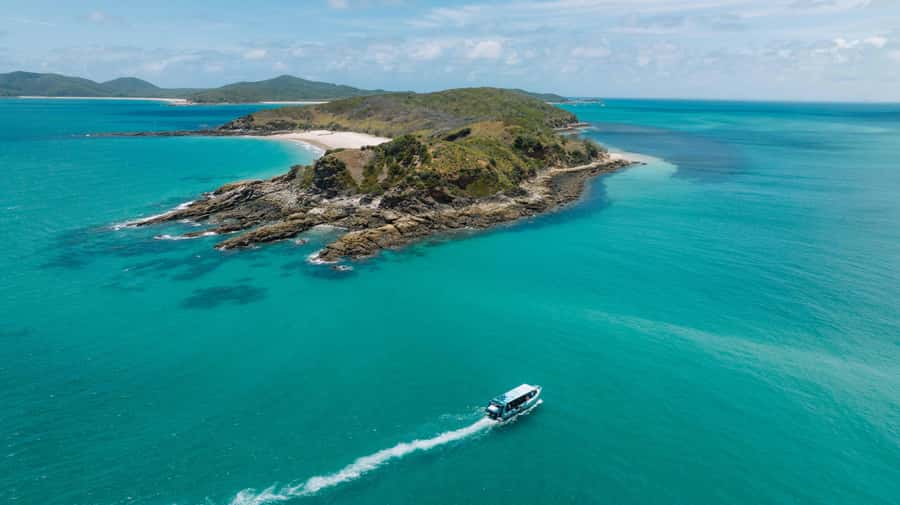 Yeppoon: Great Keppel Island Fast Boat Snorkel & Lunch Tour - Snorkeling in the Southern Great Barrier Reef zone, with real supervision