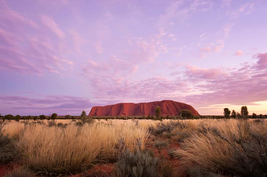 Yulara: Uluru Sunrise and Kata Tjuta Day Trip by Bus - Uluru at dawn: size, spirituality, and the view you came for